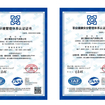 雷諾爾電氣順利通過ISO14001和ISO45001環境、安全管理體系認證